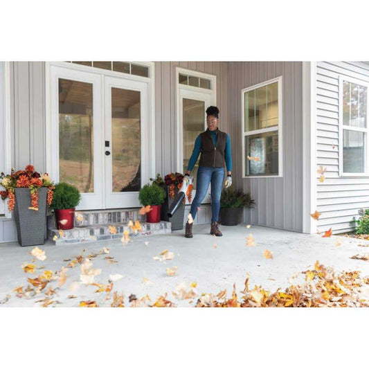 Stihl BGA 57 Cordless Blower