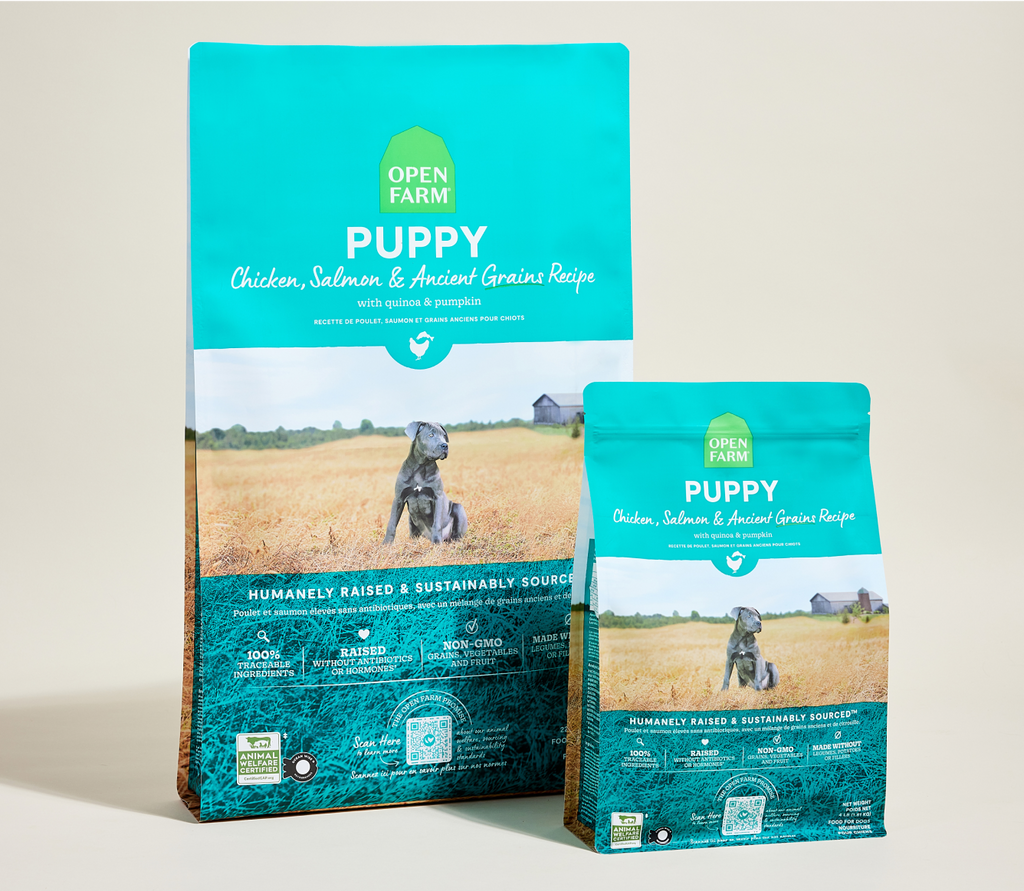 Chicken & Salmon Ancient Grains Puppy Kibble