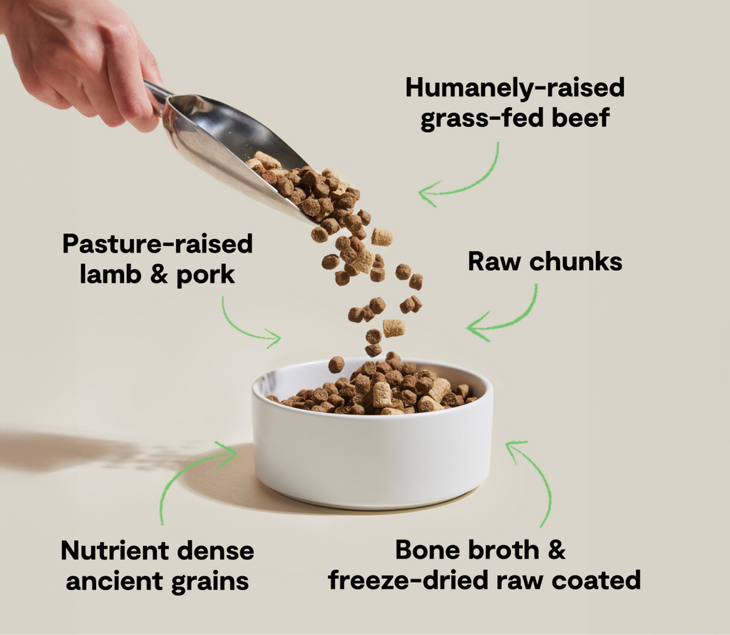 RawMix Front Range Ancient Grains Dog Kibble