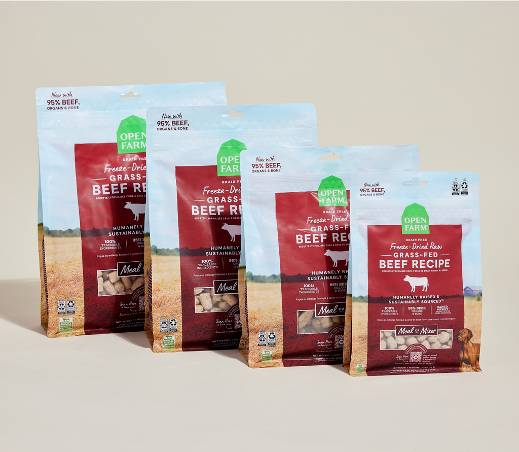 Grass-Fed Beef Freeze Dried Raw Morsels for Dogs