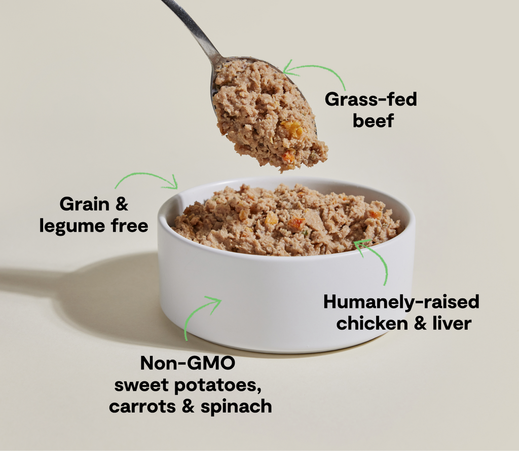 Chicken & Grass-Fed Beef Pâté for Dogs