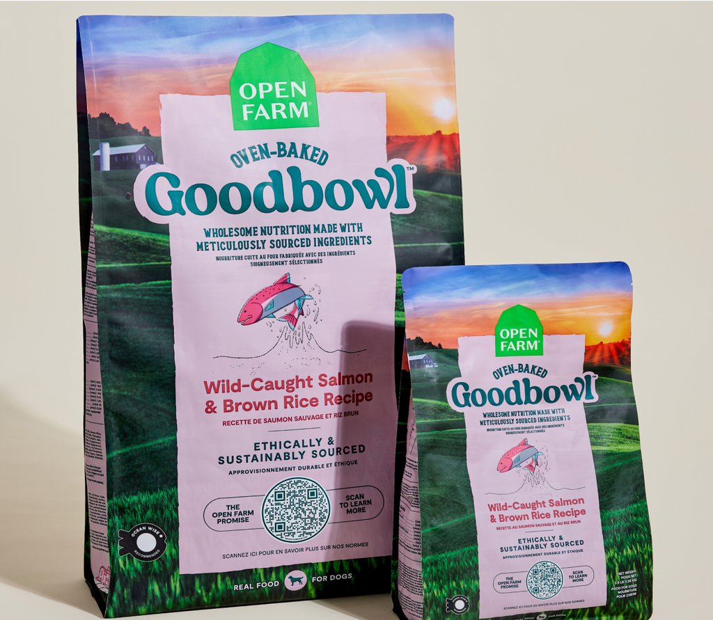 Goodbowl™ Wild-Caught Salmon & Brown Rice Dog Kibble
