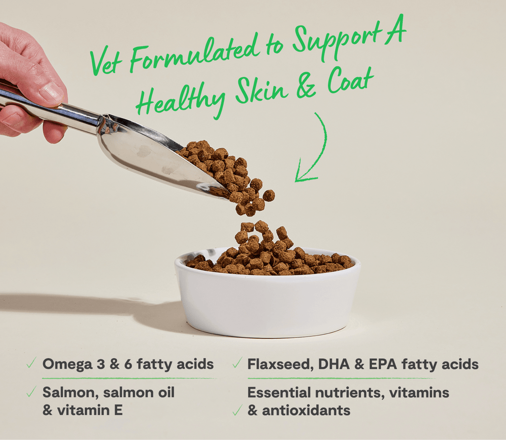 Salmon & Oatmeal Skin & Coat Health Dog Kibble