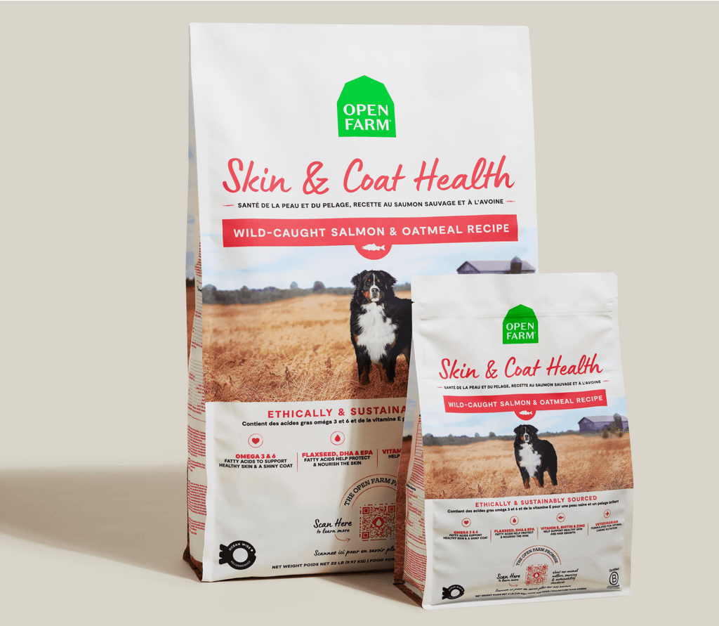 Salmon & Oatmeal Skin & Coat Health Dog Kibble