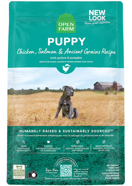Chicken & Salmon Ancient Grains Puppy Kibble