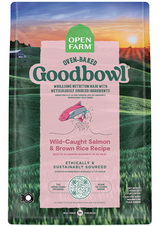 Goodbowl™ Wild-Caught Salmon & Brown Rice Dog Kibble