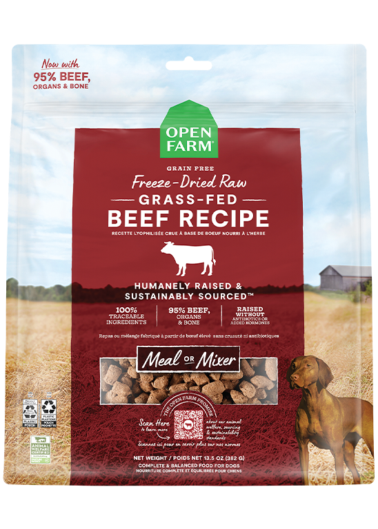 Grass-Fed Beef Freeze Dried Raw Morsels for Dogs